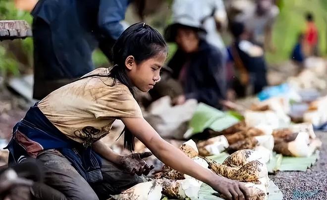 团去老挝嫖连大使馆都看不下去了开元棋牌东亚第一“性压抑”国组(图5) 团去老挝嫖连大使馆都看不下去了开元棋牌东亚第一“性压抑”国组(图5)