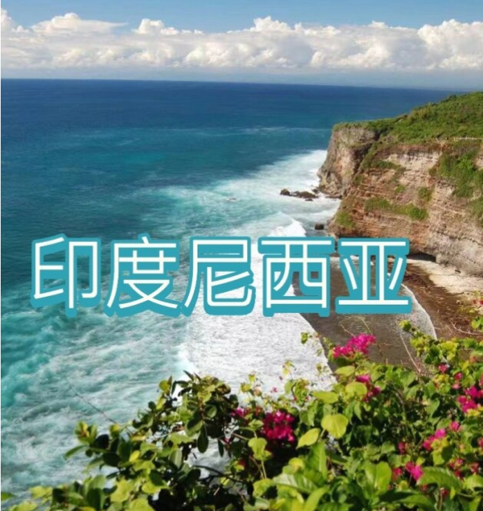 国际电商(印尼)产业博览会开元ky棋牌2025中国