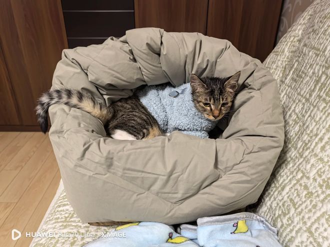 ”还是中年阿姨厉害立马变值钱了开元棋牌论“旧羽绒服的生命延续(图17)