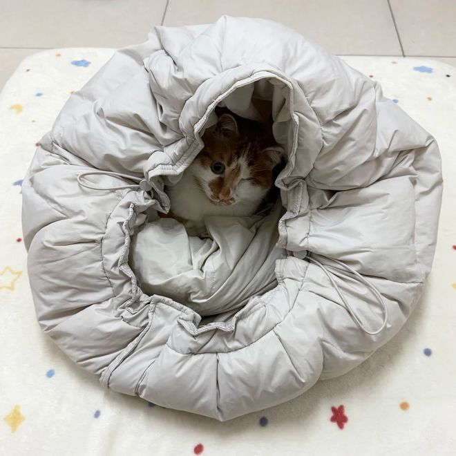 ”还是中年阿姨厉害立马变值钱了开元棋牌论“旧羽绒服的生命延续(图31)