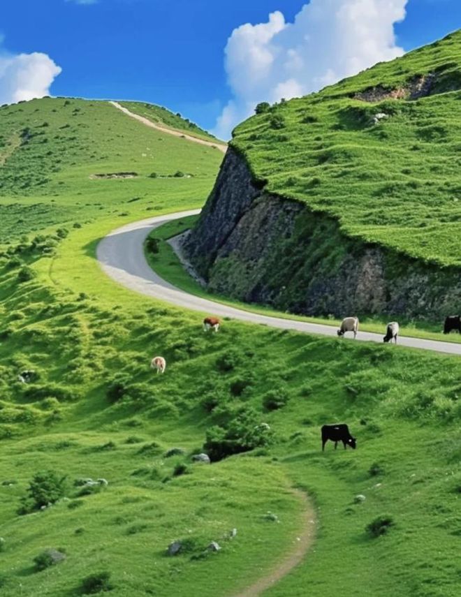 全免费！这里的瀑布云海比金顶更壮观！开元棋牌app无需爬山就在广东！还完(图6)